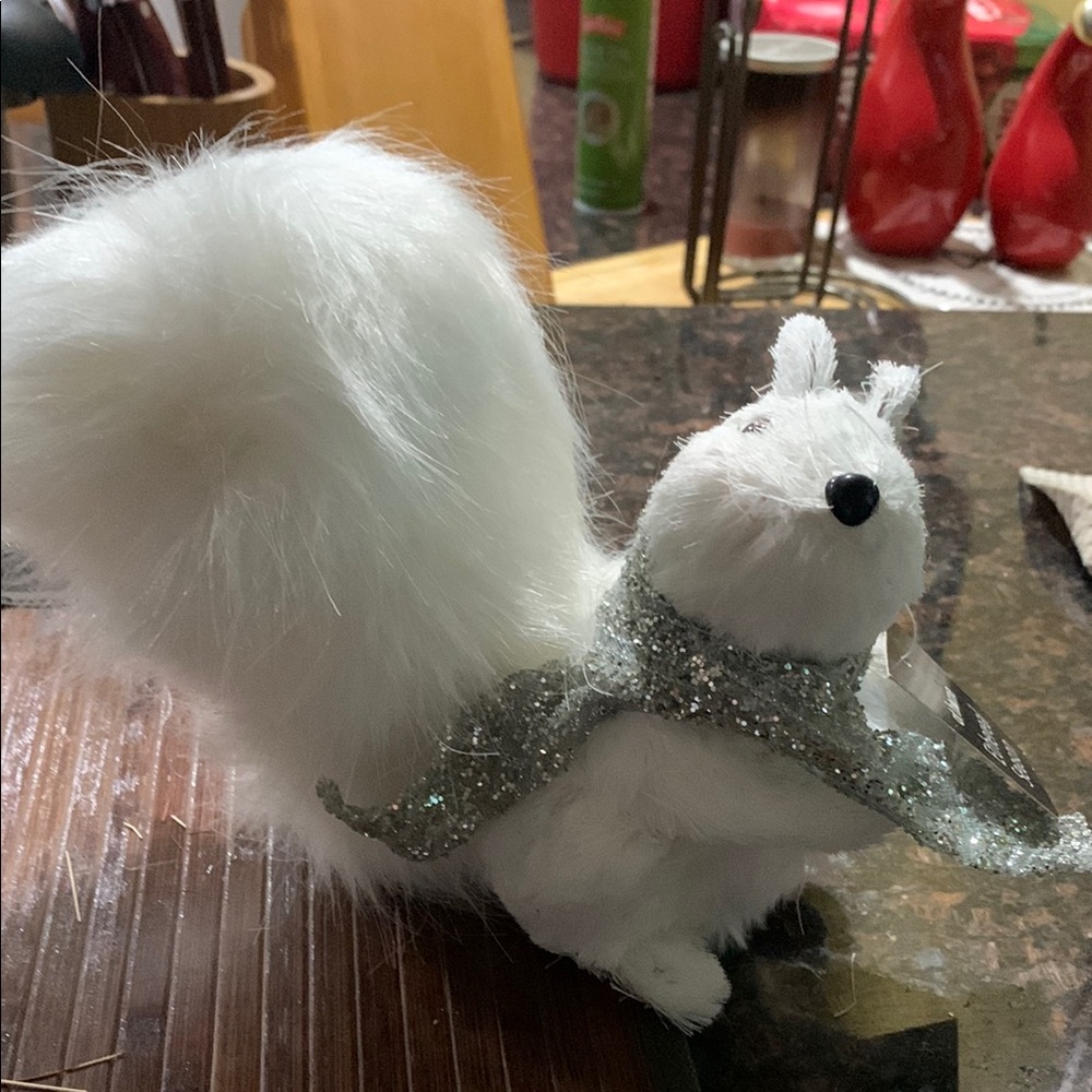White and Silver  Squirrel